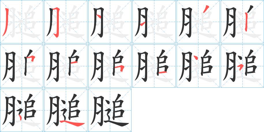 膇字的笔顺分步演示