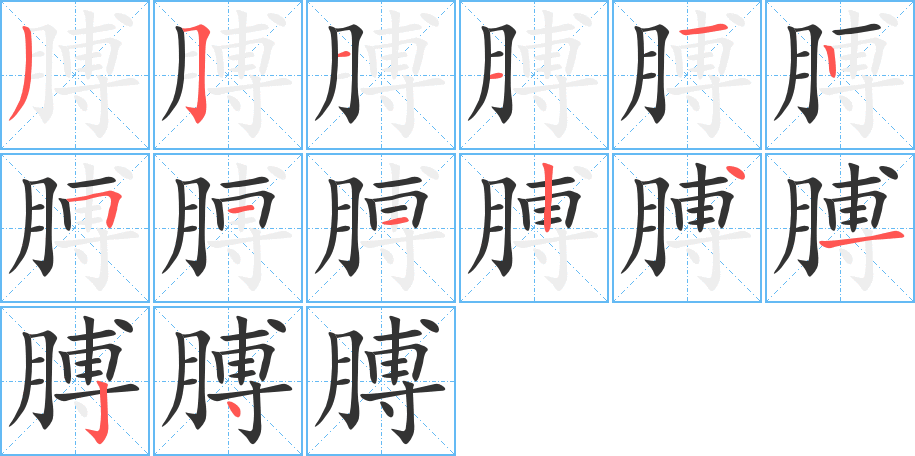 膊字的笔顺分步演示