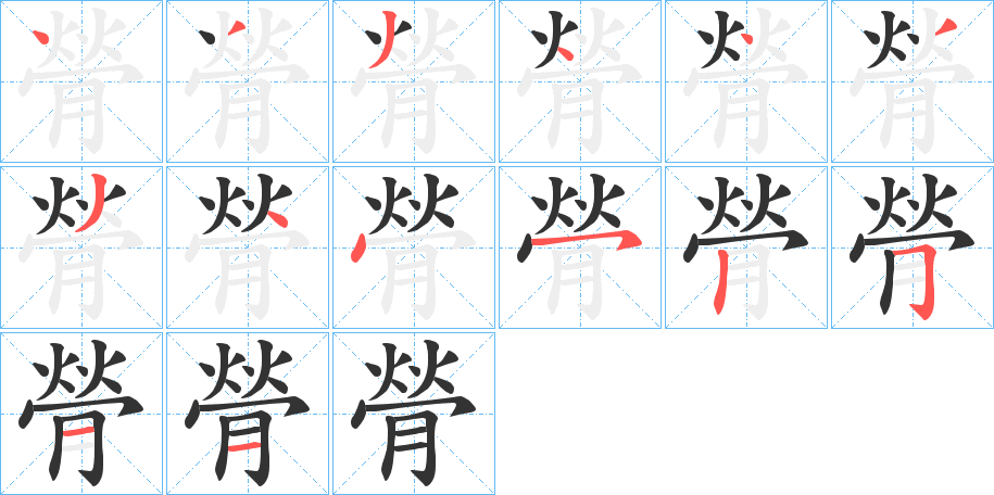 膋字的笔顺分步演示