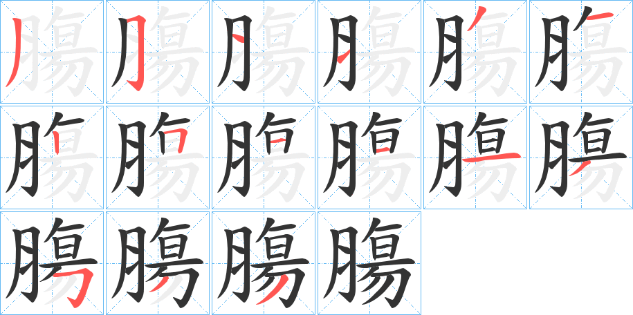 膓字的笔顺分步演示