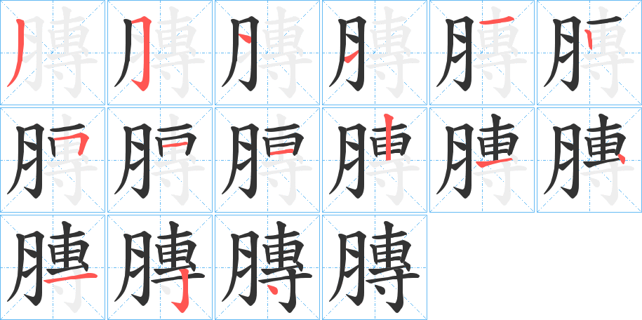 膞字的笔顺分步演示