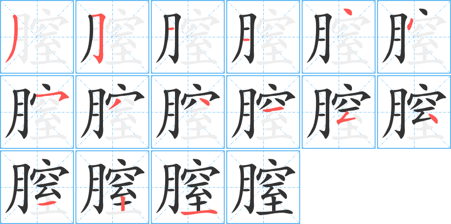 膣字的笔顺分步演示