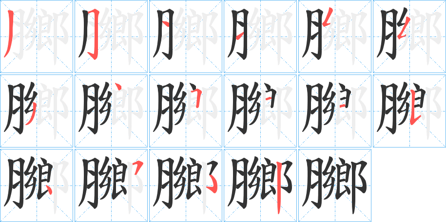 膷字的笔顺分步演示