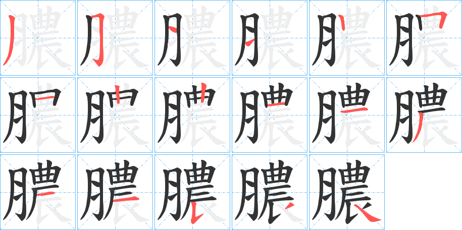 膿字的笔顺分步演示