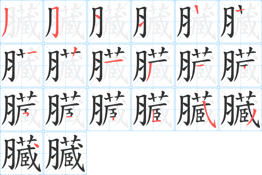 臓字的笔顺分步演示