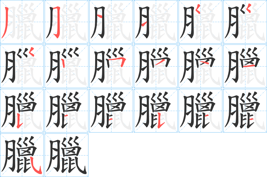 臘字的笔顺分步演示