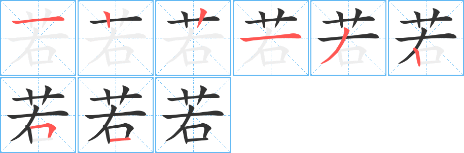 若字的笔顺分步演示