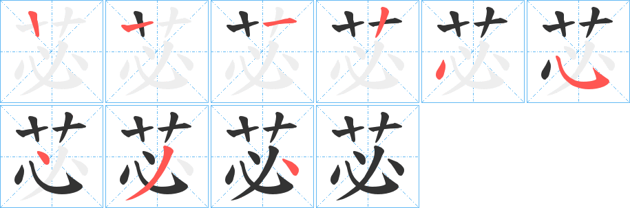 苾字的笔顺分步演示