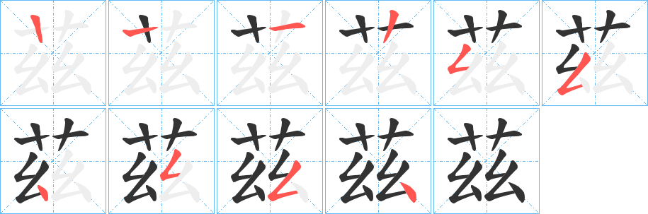 茲字的笔顺分步演示