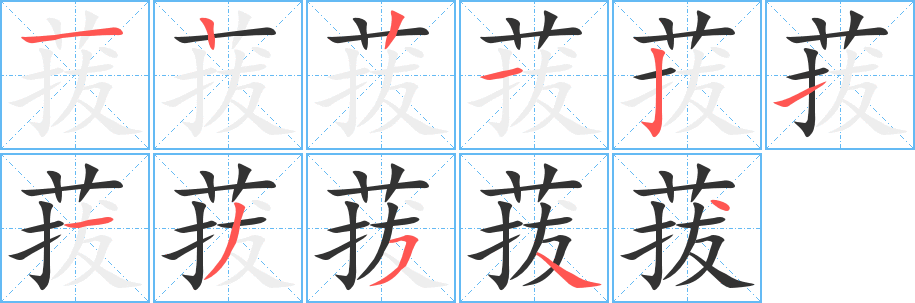 菝字的笔顺分步演示