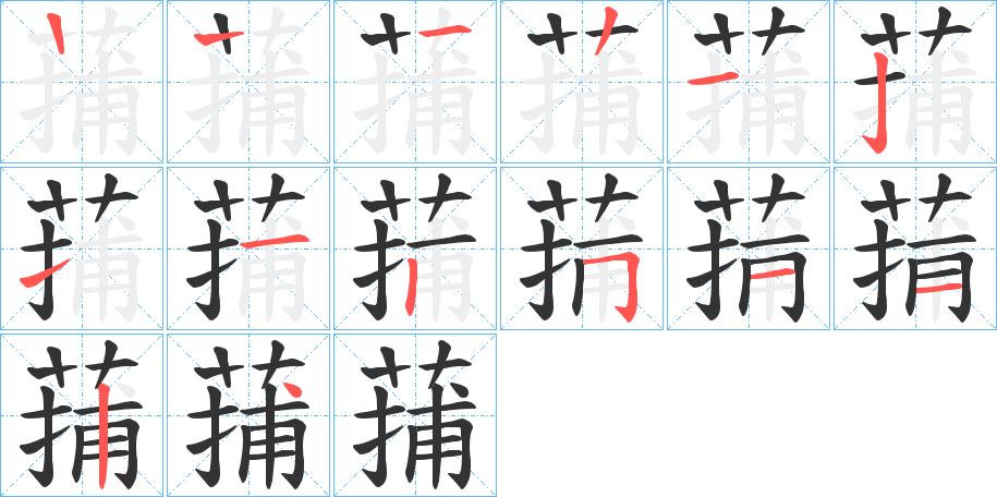 蒱字的笔顺分步演示