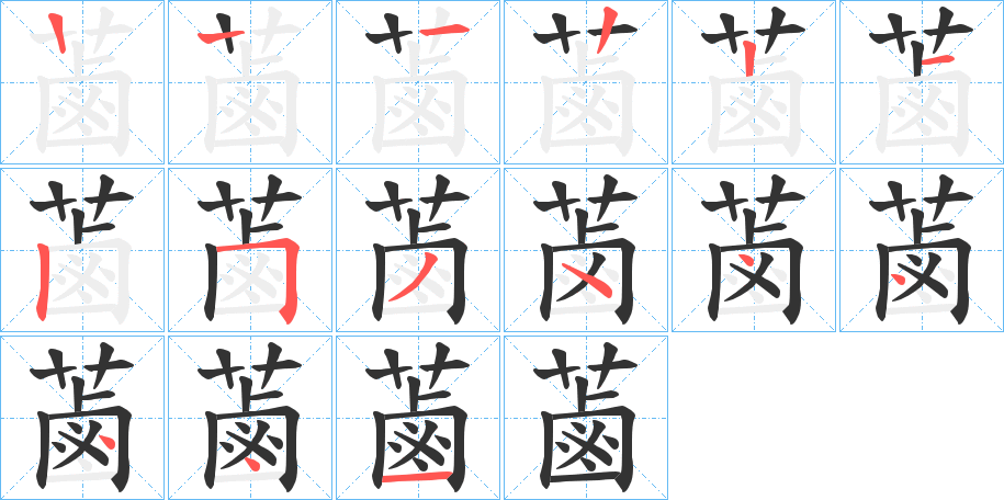 蓾字的笔顺分步演示