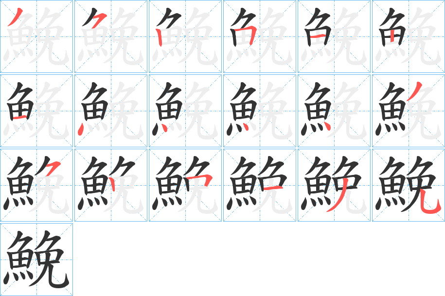 鮸字的笔顺分步演示