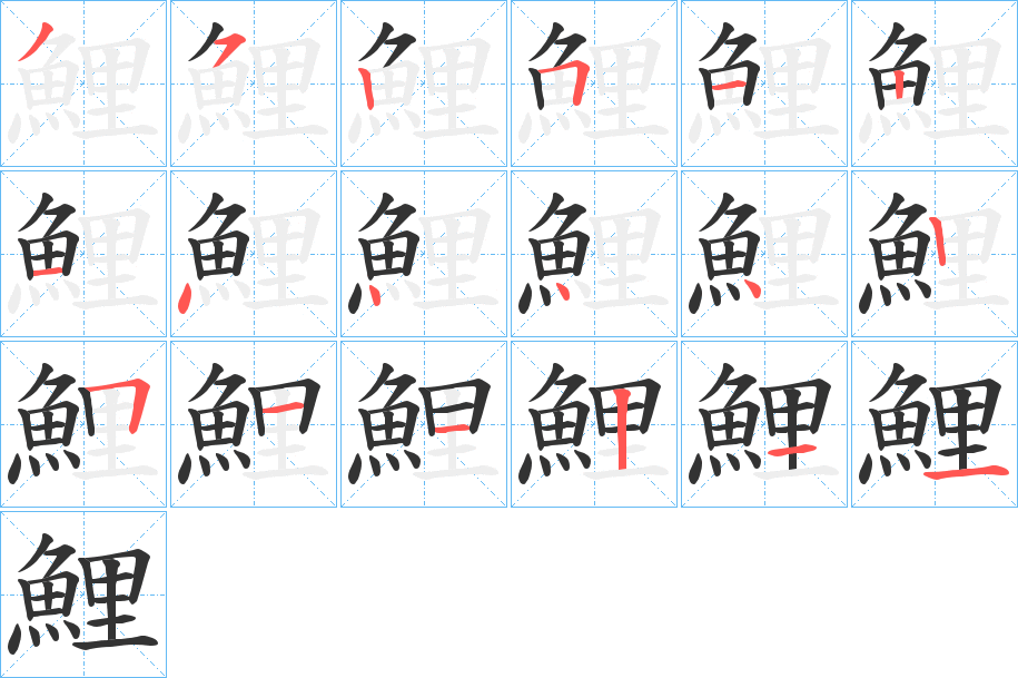 鯉字的笔顺分步演示