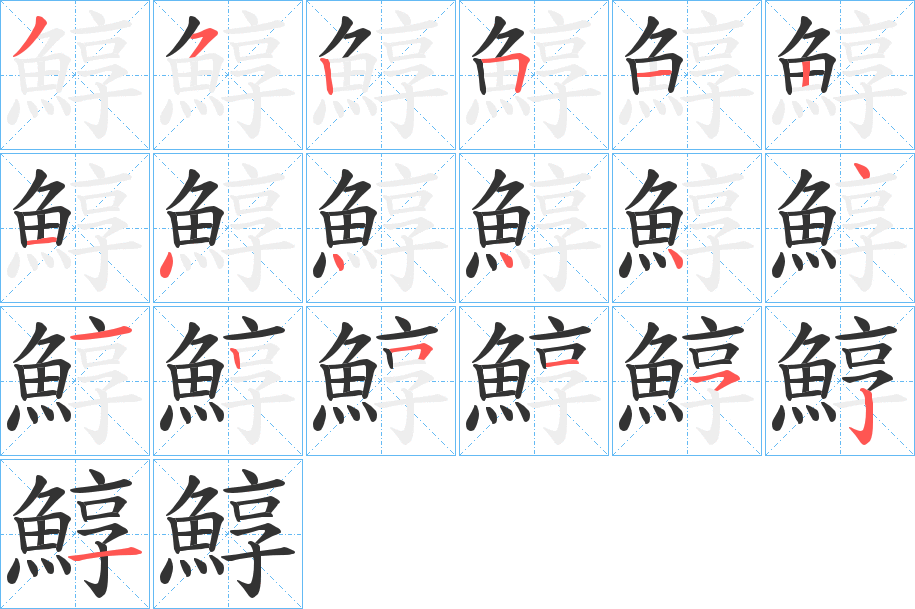 鯙字的笔顺分步演示