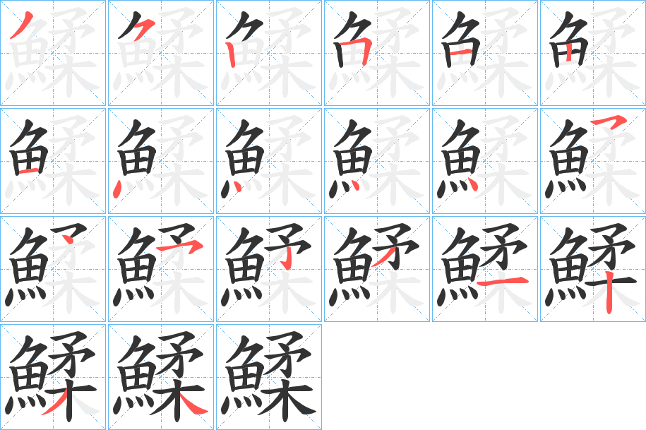 鰇字的笔顺分步演示