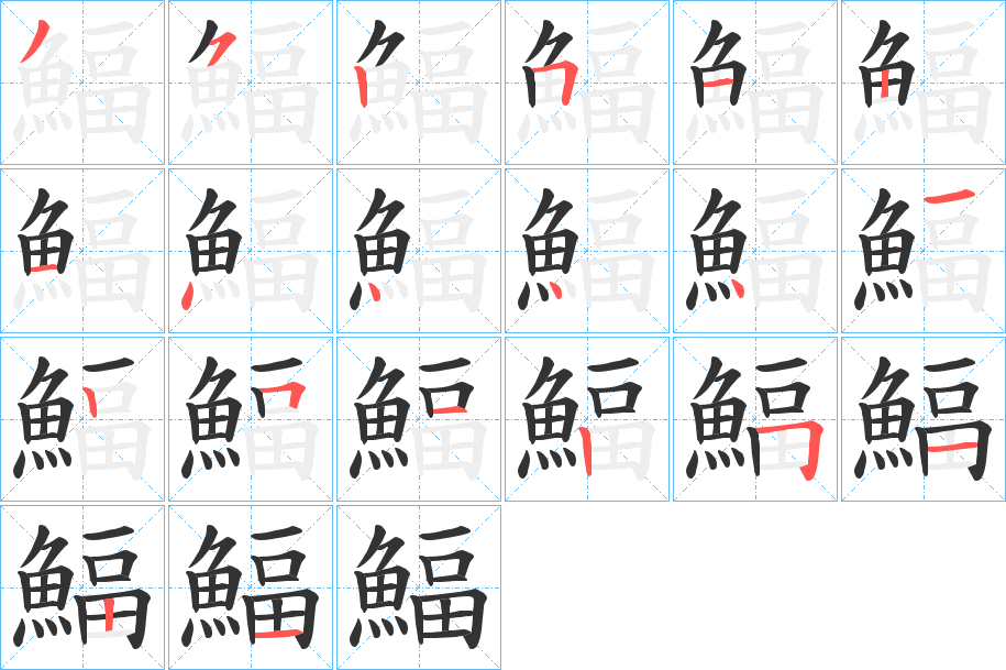 鰏字的笔顺分步演示