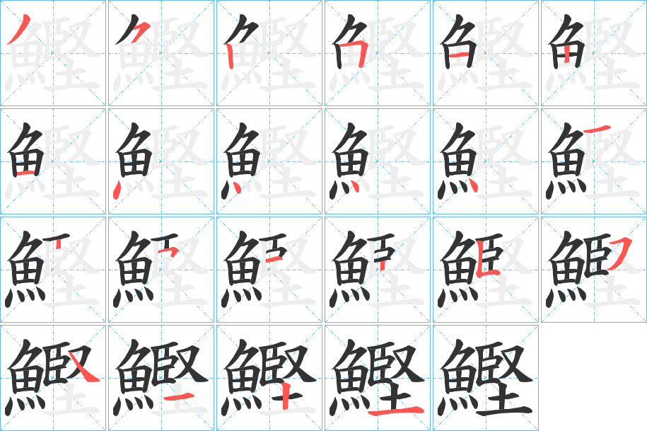 鰹字的笔顺分步演示