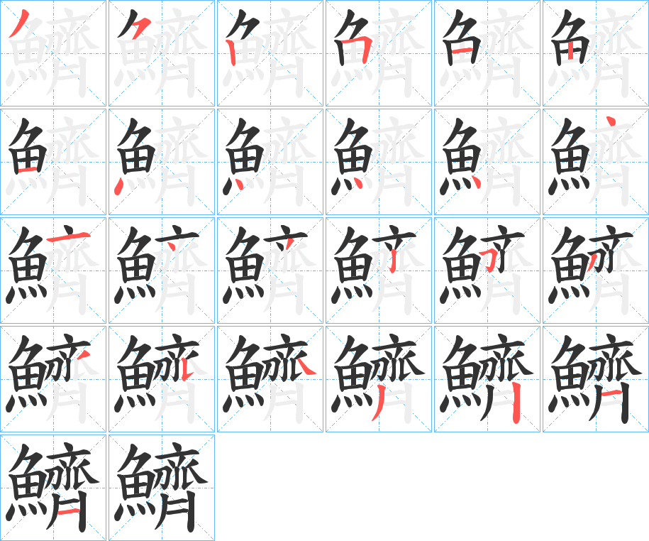 鱭字的笔顺分步演示