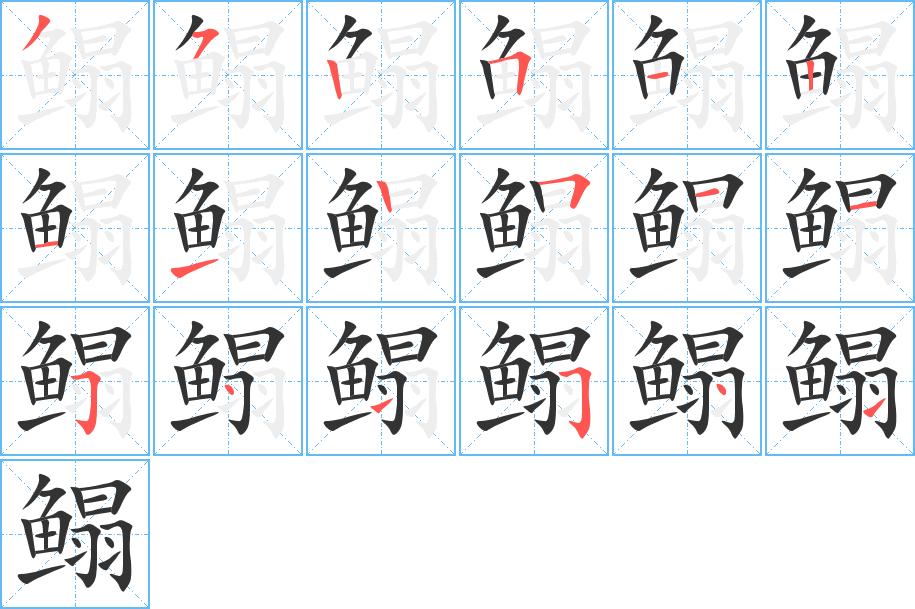 鳎字的笔顺分步演示