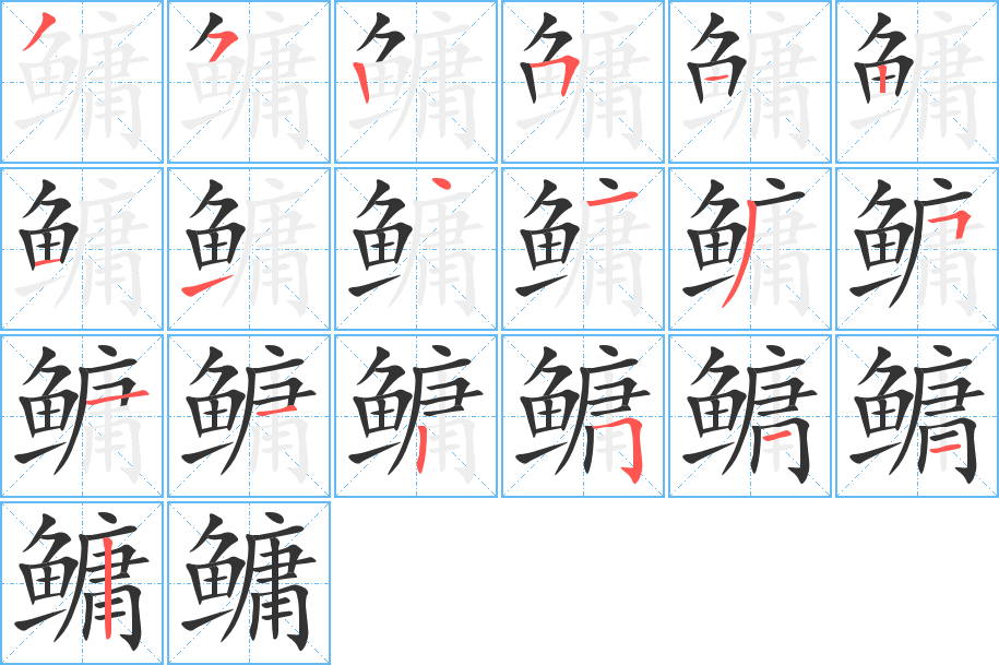 鳙字的笔顺分步演示