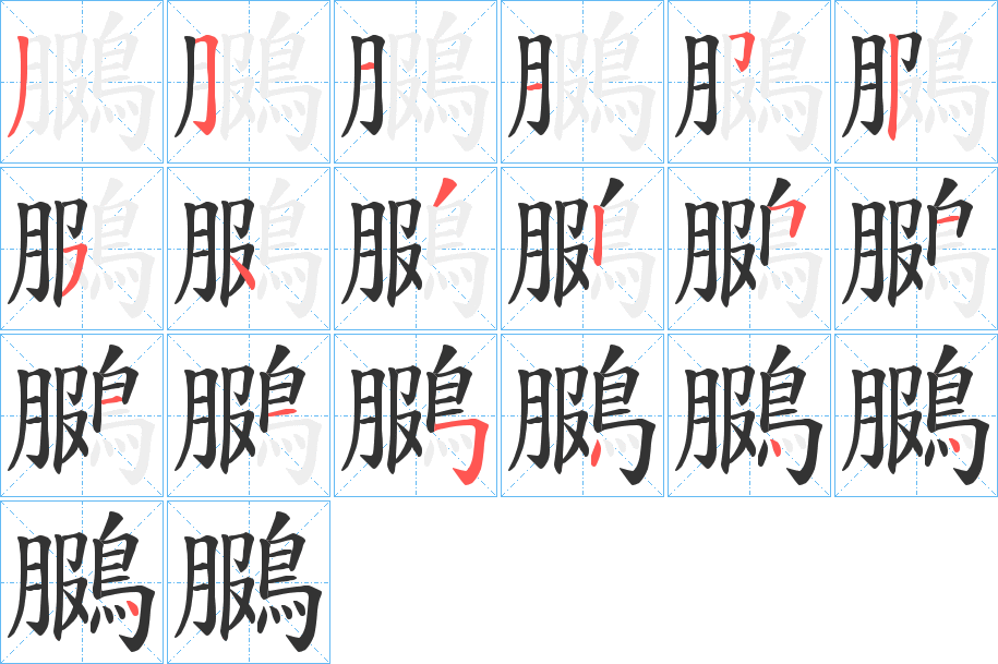 鵩字的笔顺分步演示