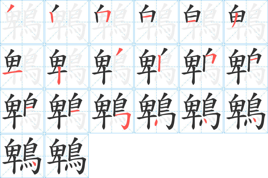 鵯字的笔顺分步演示