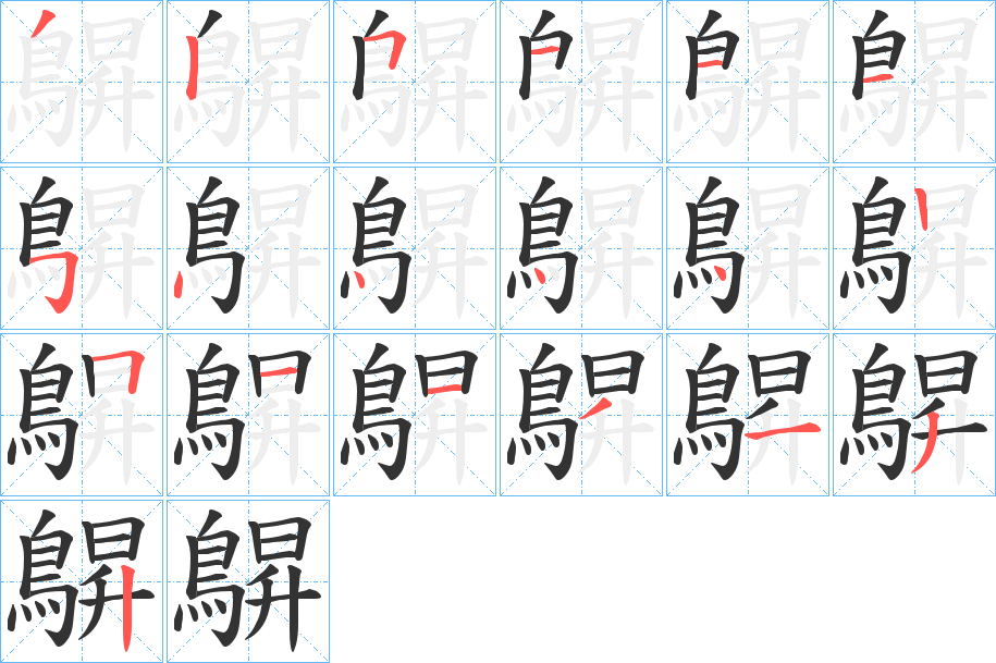 鵿字的笔顺分步演示