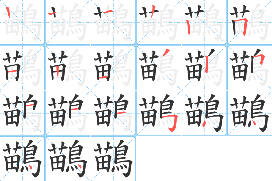 鶓字的笔顺分步演示