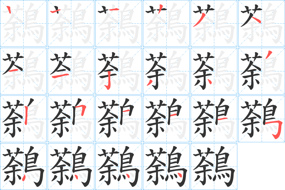 鷋字的笔顺分步演示